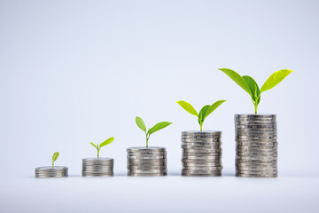 Fototapeta na wymiar Money growth concept, saving money, interest, returns with profit. Plants that grow sequentially on coins in white background. with copy space for finance and business investment