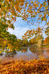 Pond in Alexander park in autumn, Pushkin (Tsarskoe Selo), Saint Petersburg, Russia