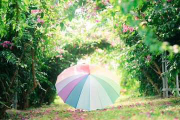 虹色のかわいい傘