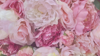 Pink carnation flowers rose petals