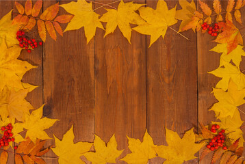Naklejka na ściany i meble Autumn background. Yellow maple leaves and red rowan berries on a wooden brown background