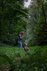 dog breed weimaraner playing with a young girl, giving the paw and sitting in front of the woman in the forest of the French Brittany of La forêt de Brocéliande