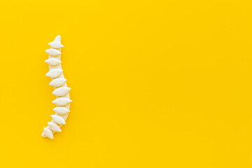 Anatomical human spine skeleton model. Spinal health and diseases concept