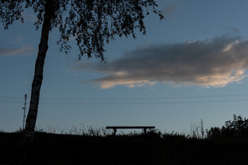 Silhouette of a bench under a lonely tree on a hill at dusk.
