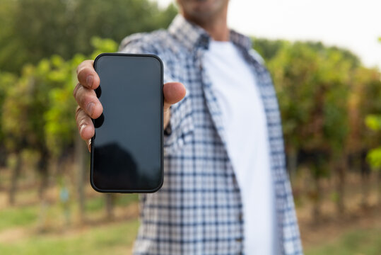 Modern farmer or winemaker is showing in camera smartphone with blank winery online commerce applications for checking customer service and selling orders summary of wine production in vineyards.