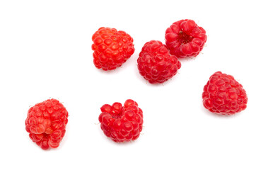 Red raspberries on a white background.