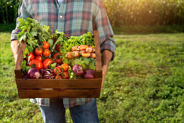 Close up of farmer is holding basket with fresh harvested at the moment vegetables on countryside...