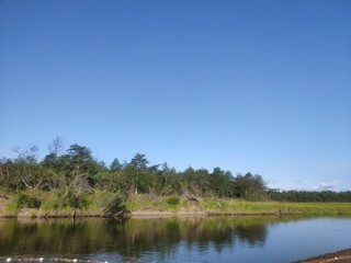 lake in the forest