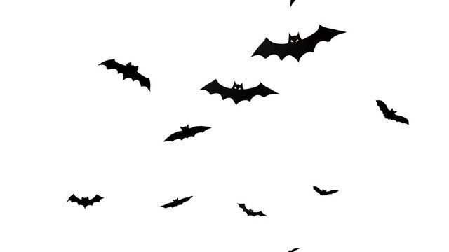 Group black bat with yellow eyes flying at transparent alpha channel background. Overlay for compositing. Halloween bat flying out on transparent background