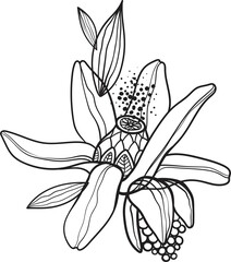 Black line floral arrangement, fancy outline flowers with leaves and pollen on white background, hand drawn botanical illustration