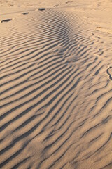 Footprints on dry wavy sand background on a warm summer day in the Baltic seaside in Liepaja beach, Latvia