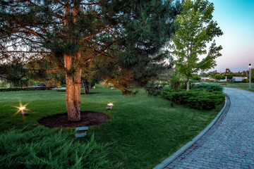 Landscaped garden of country estate with trees, juniper bushes, lighting and cobblestone path