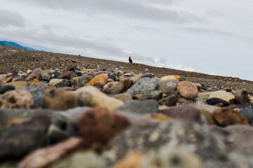 stones on the beach
