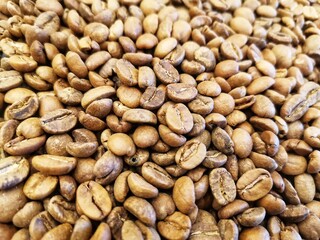 Coffee beans. Coffee plant.