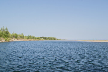 beach and trees