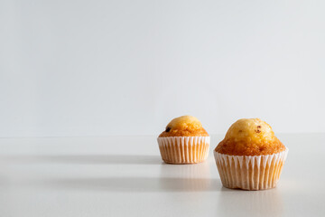 Two small chocolate chip muffins