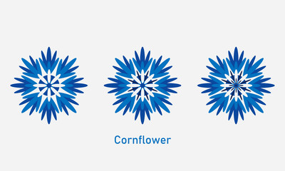 Set of blue cornflower, blue flowers, different drawing options, hand drawing, fall flowers, seeds, wildflowers, flower store.