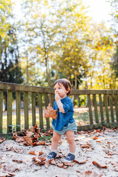 one year old boy standing taking his first steps in a playground holding dry leaves in autumn