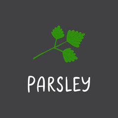 Parsley branch with lettering. Flat hand drawn herb for cooking isolated on dark background. Fresh green organic seasoning vector illustration.
