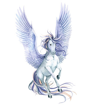Watercolor pegasus illustration, hand painted pegasus, mythological creature, myth,  Magical creature