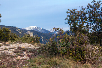 paisaje desde  monte del tagamanent con cielo azul nubes finas bosque seco y monte con nieve en la cima catalu&ntilde;a espa&ntilde;a