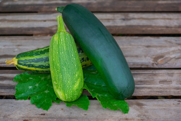 three green zucchini lies on a green leaf