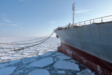 ship in the ice