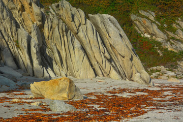 Sandy coast with beautiful rocks and seaweed. - 458233173