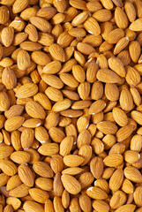 almond nut background, macro shot