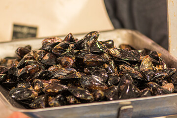 Fototapeta na wymiar Fresh mussels mollusk on a scale in a fish market, sea fruits, sushi, close up