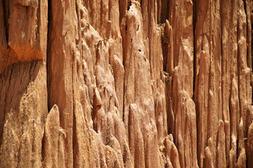 Texture of old wood nature pattern background