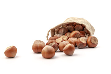 fresh hazelnuts in a canvas bag on white background