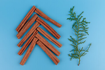 Fresh cypress branch whith  cinnamon sticks in the shape of a fir tree on blue background. Christmas composition, copy space.