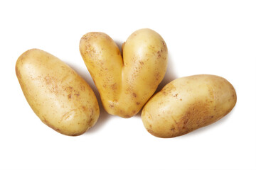 Raw Harvest potatoes isolated on white background.