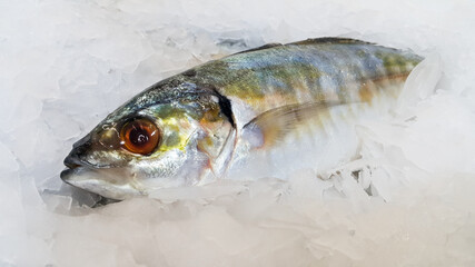 Fish on crushed ice