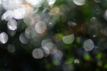 Bokeh of light