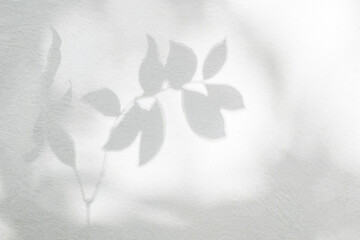 Leaf shadow and light on concrete wall blur background, shadow overlay effect foliage mockup