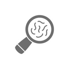 Vector bacteria under magnifying glass grey icon.
