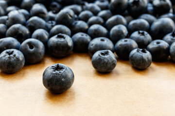 Bilberry