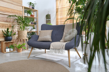 Fototapeta na wymiar Comfortable sofa and beautiful houseplants in room. Lounge area interior