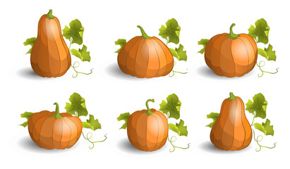 Set of pumpkins with leaves. Thanksgiving or Halloween holidays design elements. Cartoon pumpkin icons.