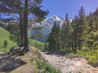 Beautiful landscape of a mountain river.