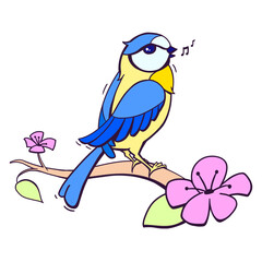 blue bird on a branch