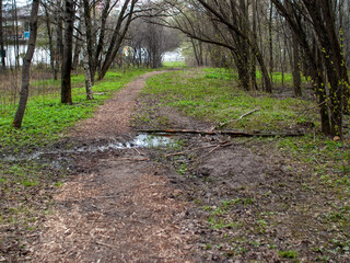 Dirty dirt road through the park in the spring