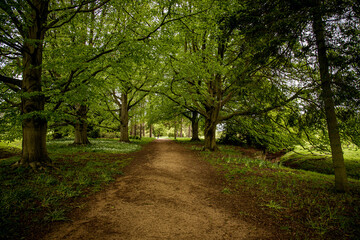alley in the park