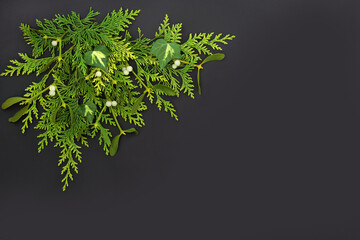 Winter Christmas solstice New Year background. Cedar cypress, mistletoe, ivy leaf sprigs. Zero waste, nature, eco, green, environmentally friendly, ecological composition on grey, copy space.  