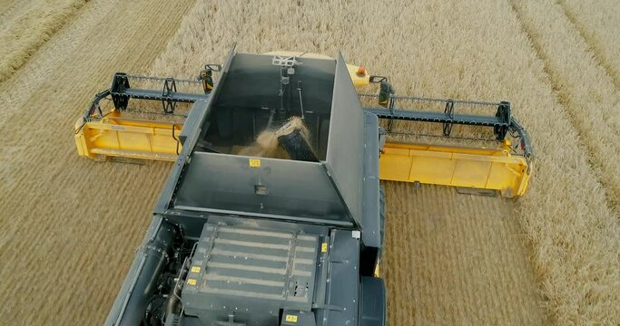 La saison des moisson 