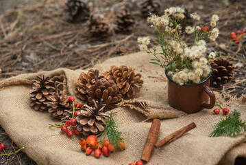 Picnic in a pine forest. A metal vintage circle with forest flowers, spruce branches, cinnamon sticks and cones