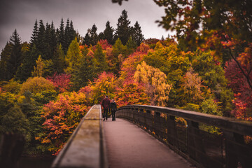 Fototapeta na wymiar Autumn over the bridge in Glencoe