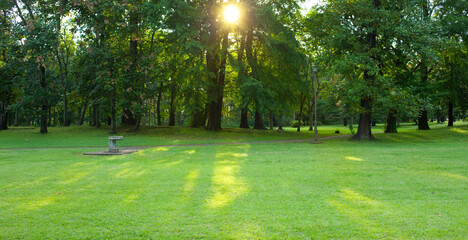 Obraz premium sunshine garden